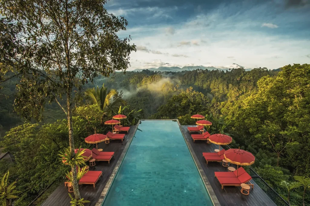 Elevated view of a luxury resort infinity pool with red lounge chairs overlooking a misty tropical jungle canopy in Ubud, Bali