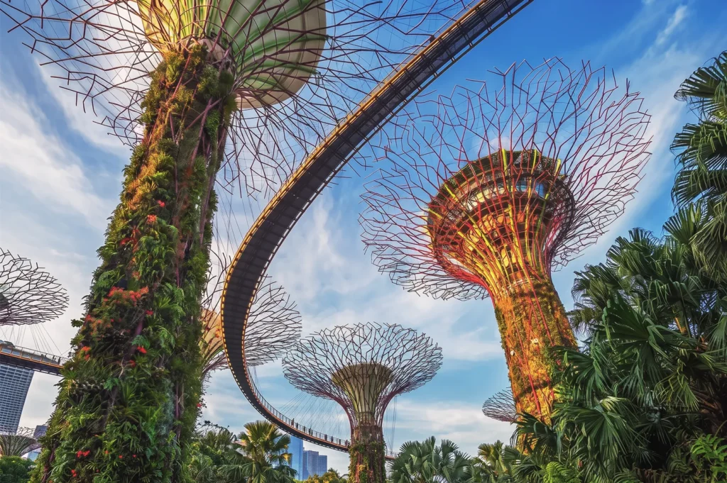 Low-angle view of the iconic Supertree Grove and OCBC Skyway suspended bridge at Gardens by the Bay in Singapore.